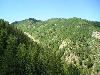 Aspen Mountain from the Ute Trail