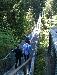 Capilano Suspension Bridge